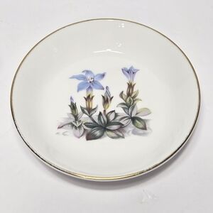 Elegant Floral Porcelain Plate with Gold Trim 1960'S ROYAL WORCESTER  FINE BONE